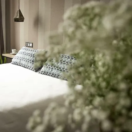Hotel Paraiso Granada 3*